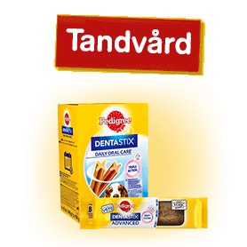 tandvard